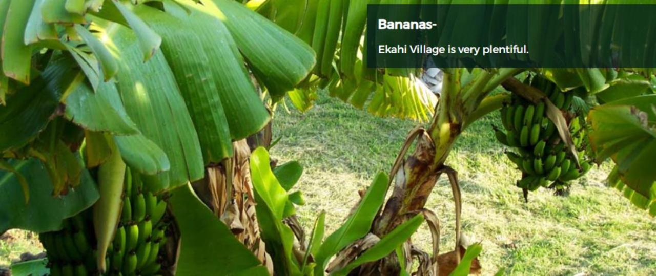 9B Ekahi Village-Studio Bath, Garden View - 1 Minute Stroll To Beach! Wailea  Buitenkant foto