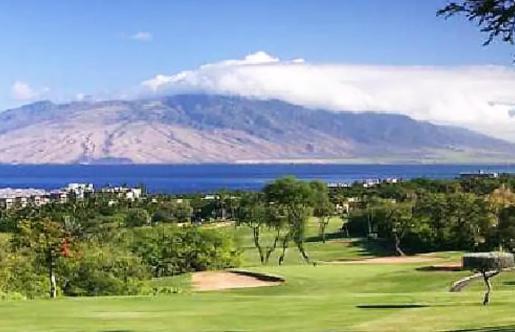 9B Ekahi Village-Studio Bath, Garden View - 1 Minute Stroll To Beach! Wailea  Buitenkant foto